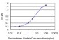CYP24A1 Antibody (monoclonal) (M07)